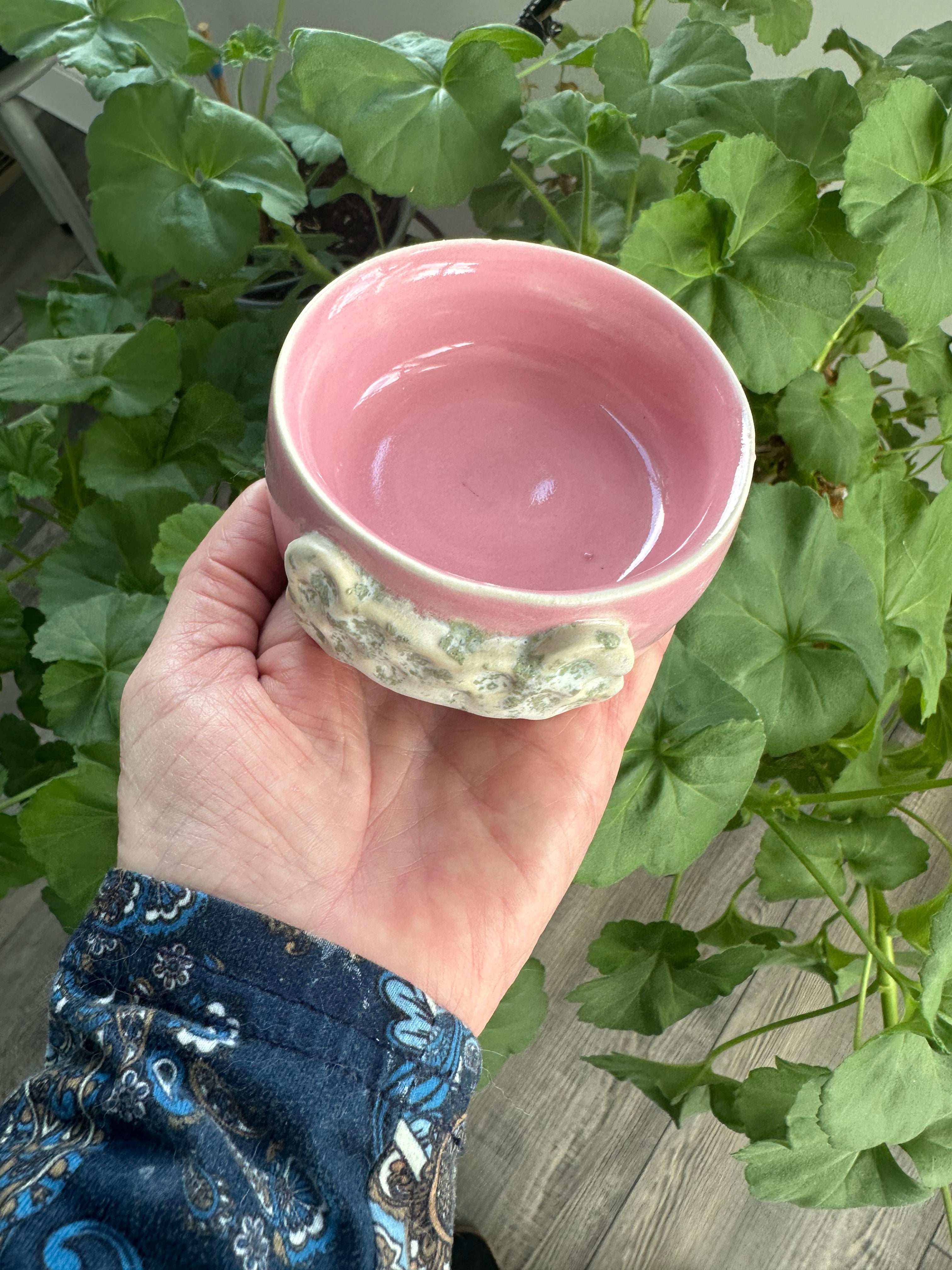 Mini Dog Dish
