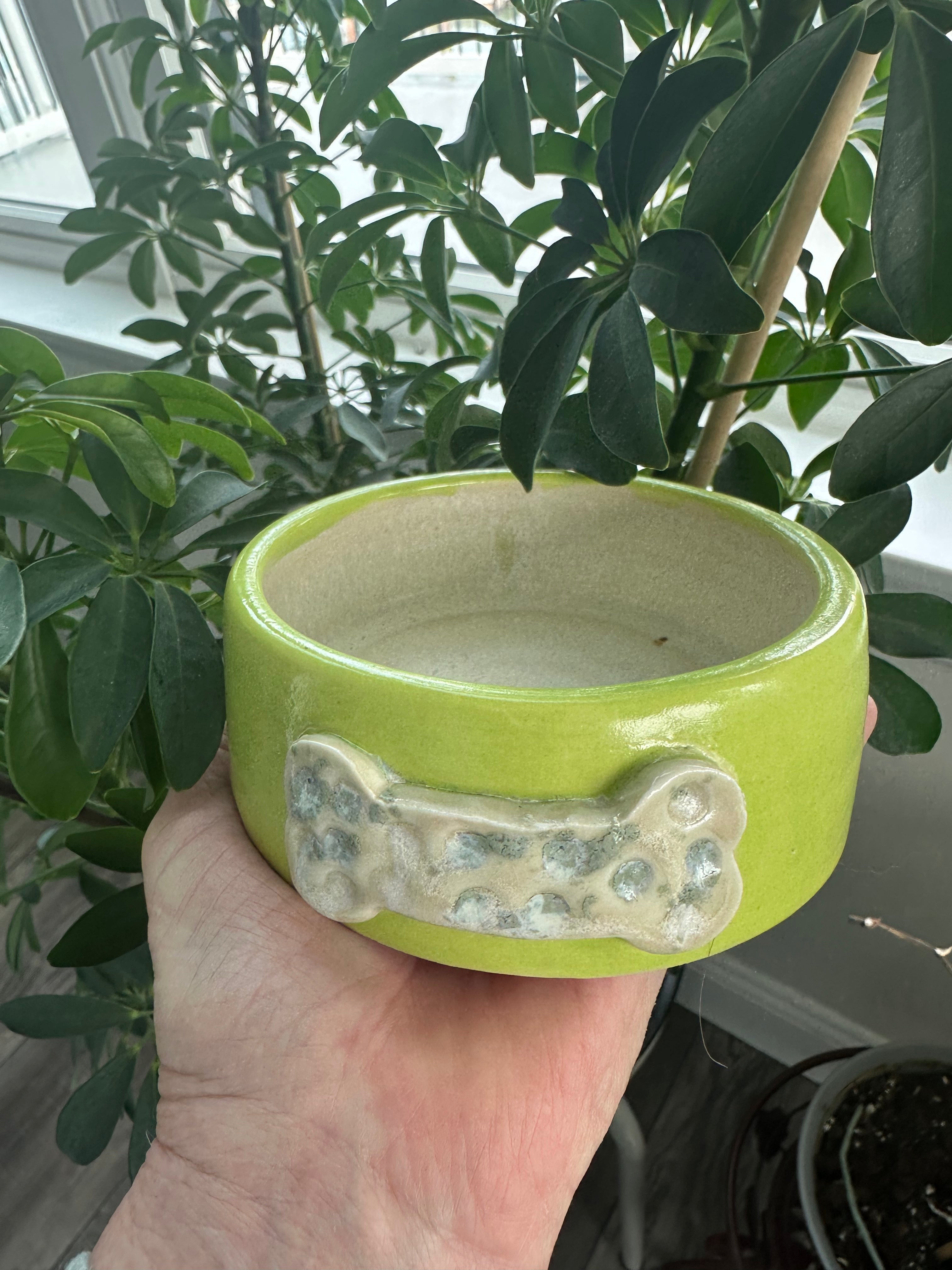 Mini Dog Dish