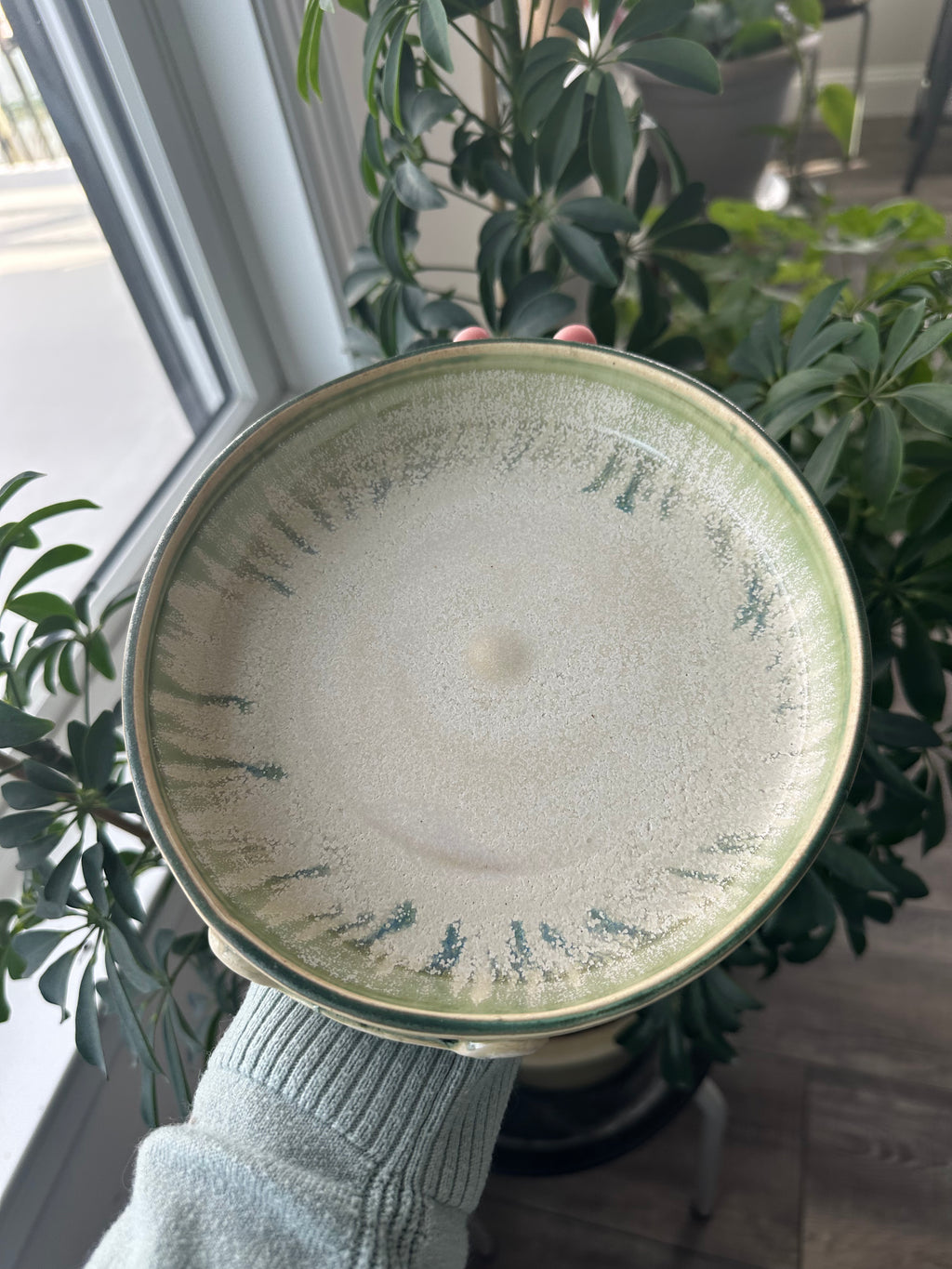 Small and Medium Dog Dish